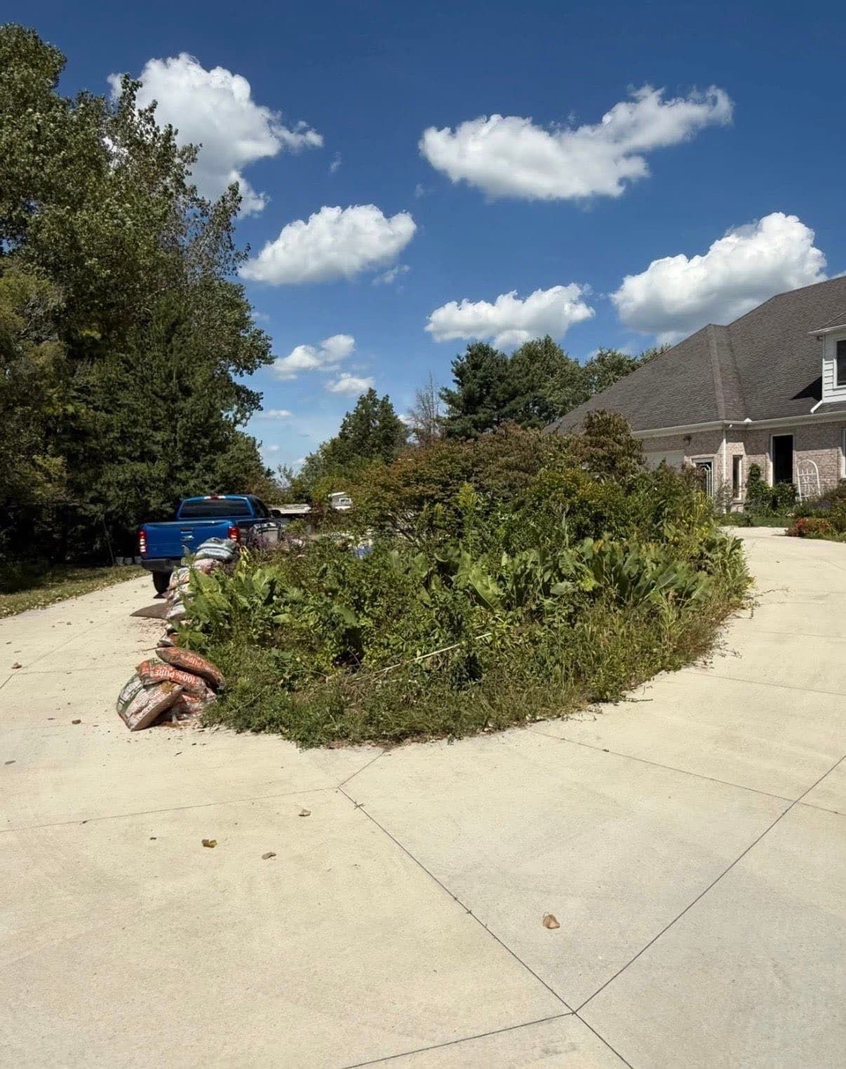 Picture of a median before TEC transformed it